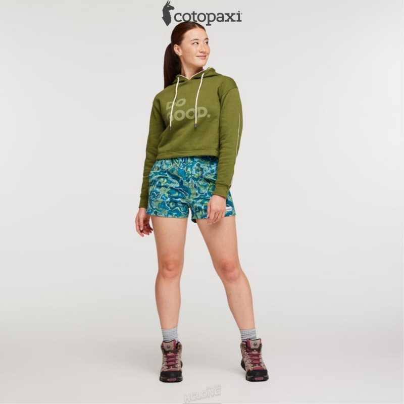 Cotopaxi Do Good Crop Sweatshirt Pine | GP93-H6-VE