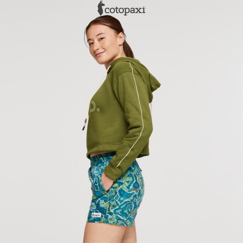 Cotopaxi Do Good Crop Sweatshirt Pine | GP93-H6-VE