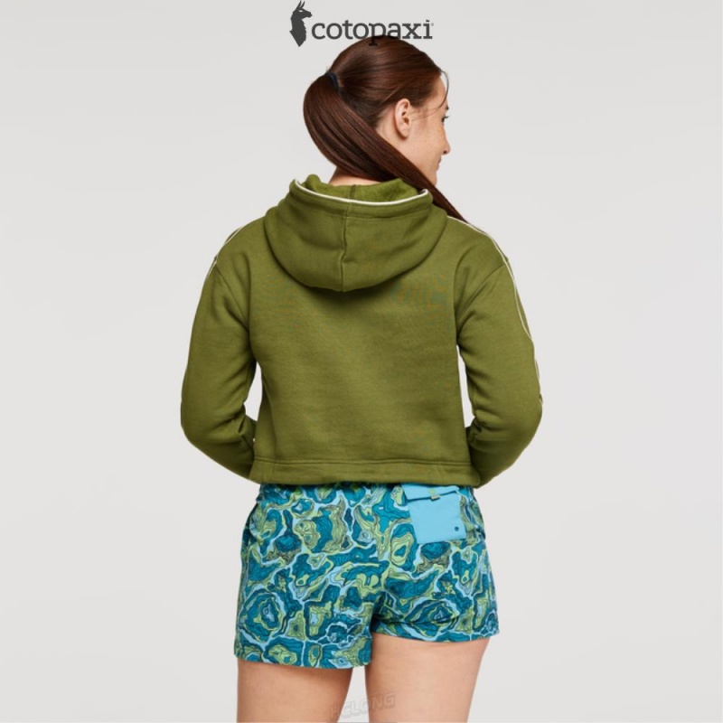 Cotopaxi Do Good Crop Sweatshirt Pine | GP93-H6-VE