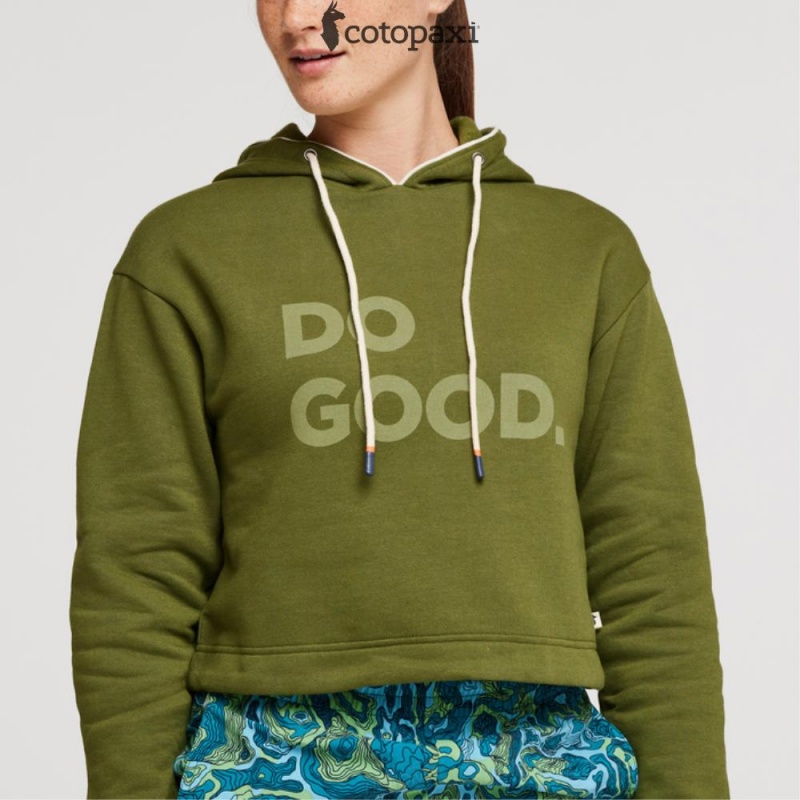 Cotopaxi Do Good Crop Sweatshirt Pine | GP93-H6-VE