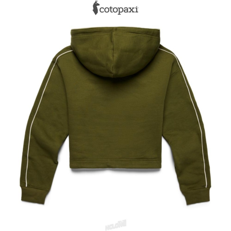 Cotopaxi Do Good Crop Sweatshirt Pine | GP93-H6-VE