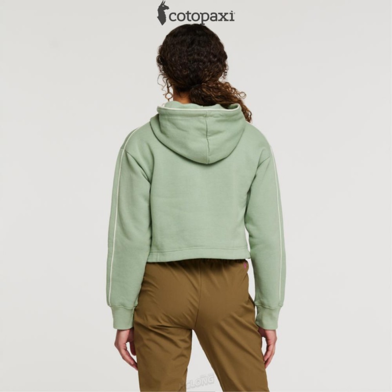 Cotopaxi Do Good Crop Sweatshirt Silver Leaf | FO00-W2-RC