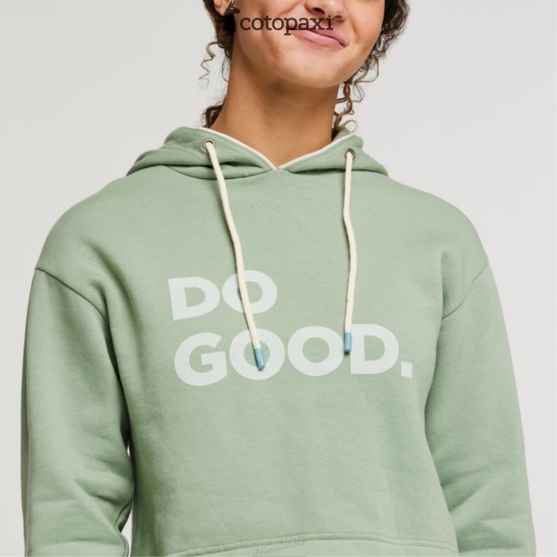 Cotopaxi Do Good Crop Sweatshirt Silver Leaf | FO00-W2-RC