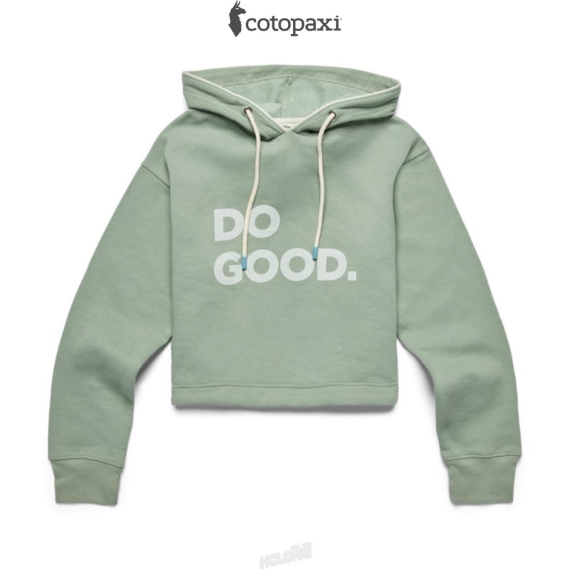 Cotopaxi Do Good Crop Sweatshirt Silver Leaf | FO00-W2-RC