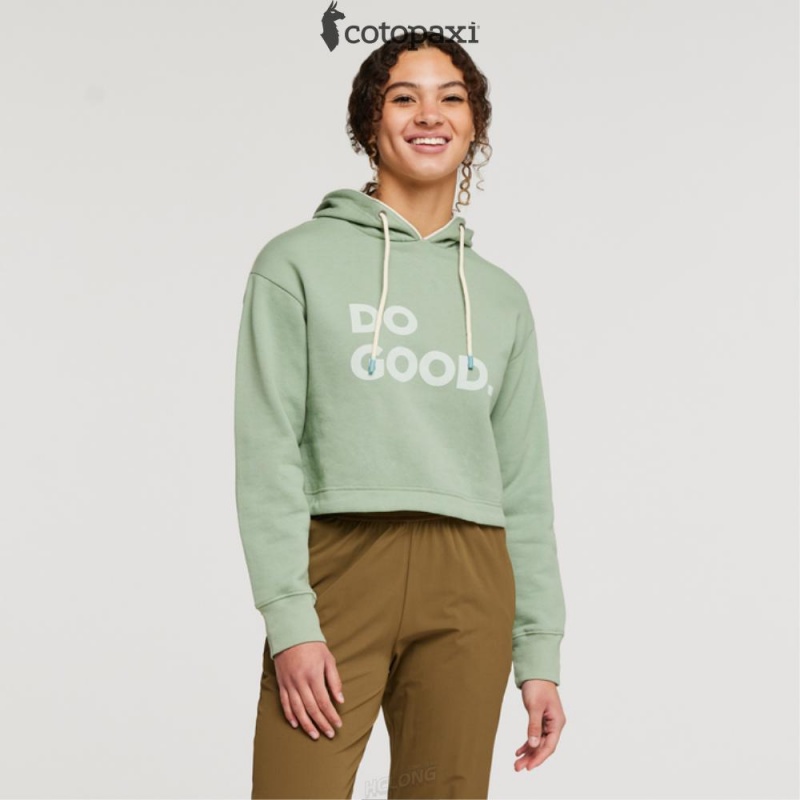 Cotopaxi Do Good Crop Sweatshirt Silver Leaf | FO00-W2-RC