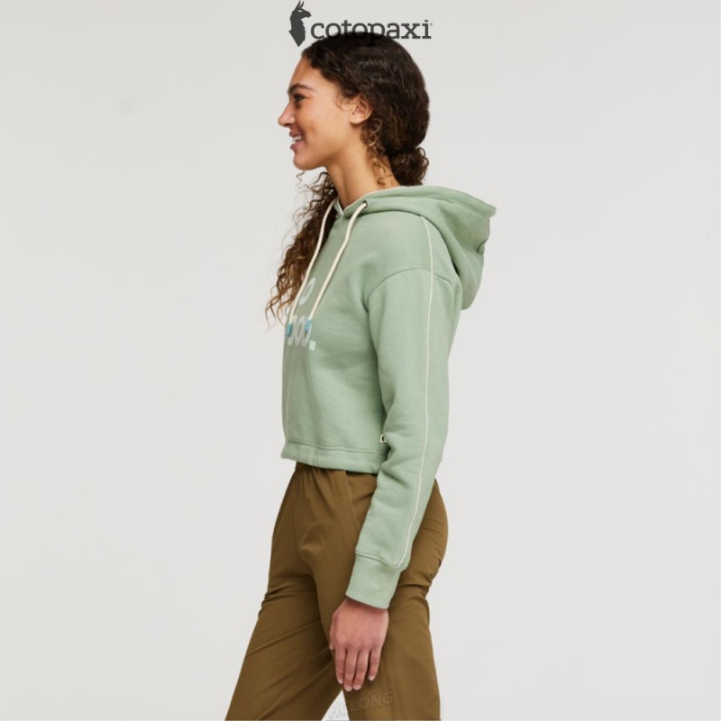 Cotopaxi Do Good Crop Sweatshirt Silver Leaf | SM20-L3-UL