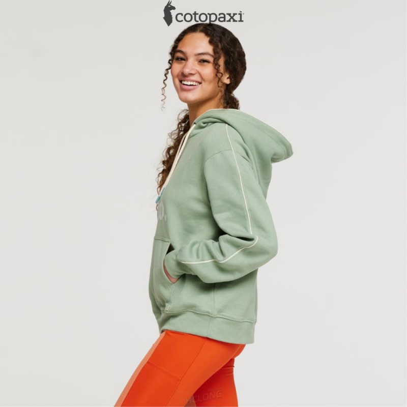 Cotopaxi Do Good Pullover Hoodie Silver Leaf | CO88-P1-HV