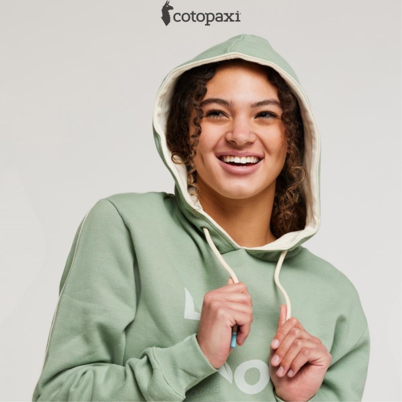 Cotopaxi Do Good Pullover Hoodie Silver Leaf | CO88-P1-HV