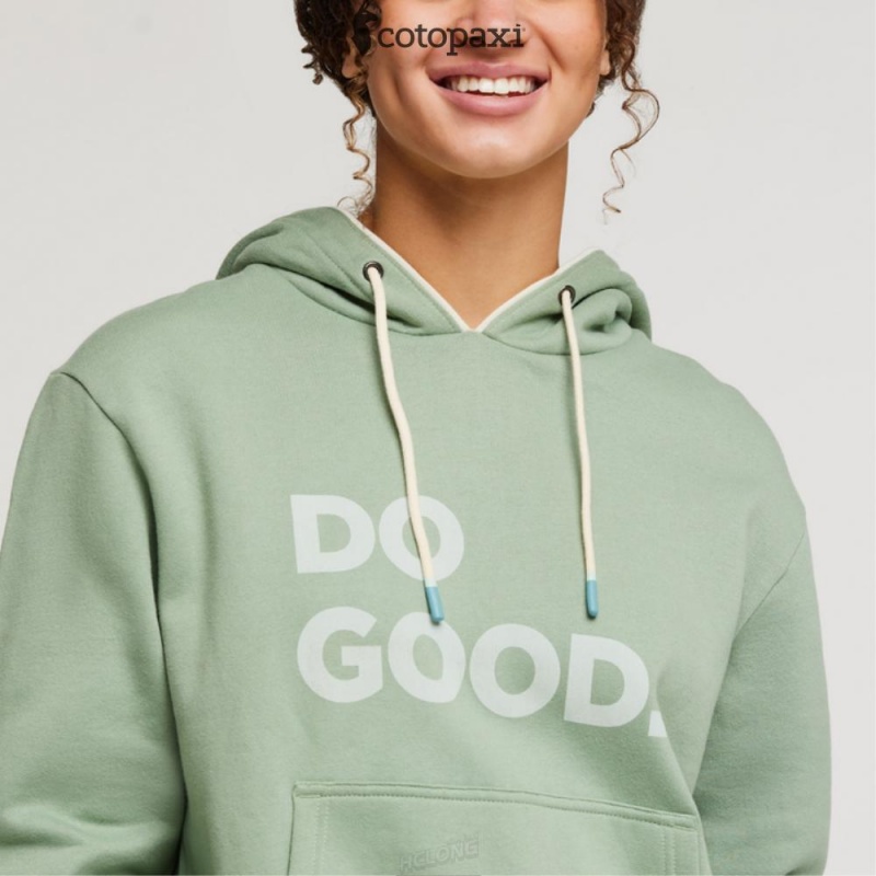 Cotopaxi Do Good Pullover Hoodie Silver Leaf | CO88-P1-HV