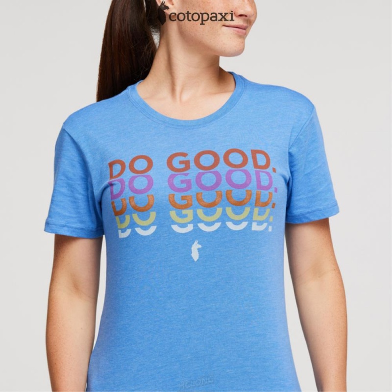 Cotopaxi Do Good Repeat T-Shirt Lupine | FO86-D5-UR