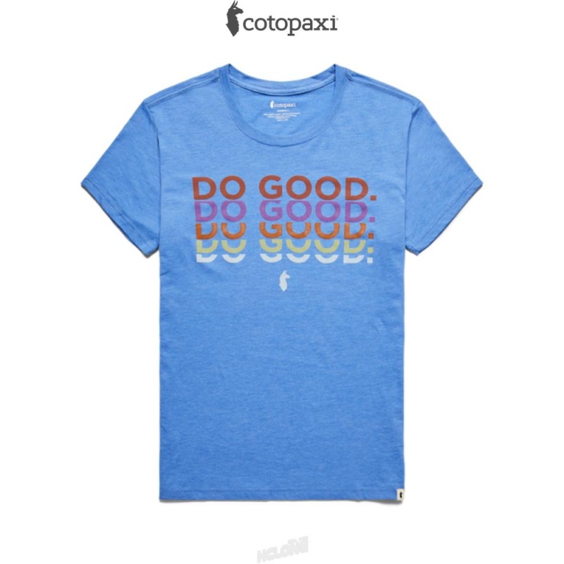 Cotopaxi Do Good Repeat T-Shirt Lupine | FO86-D5-UR