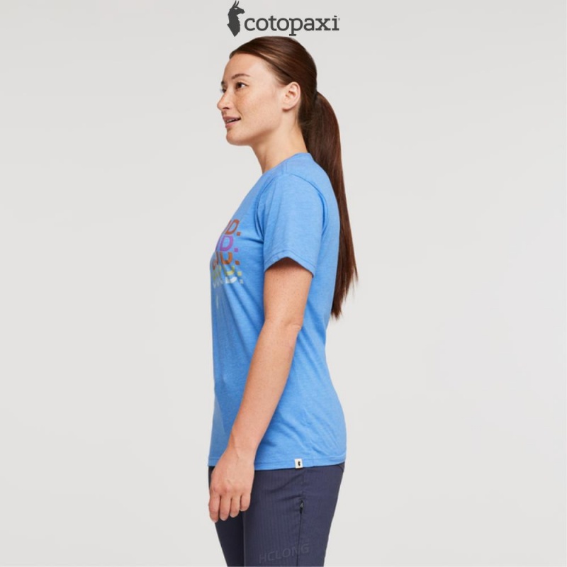 Cotopaxi Do Good Repeat T-Shirt Lupine | RA38-F7-ML