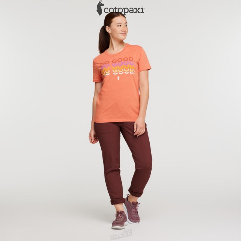 Cotopaxi Do Good Repeat T-Shirt Nectar | PR10-K1-BW