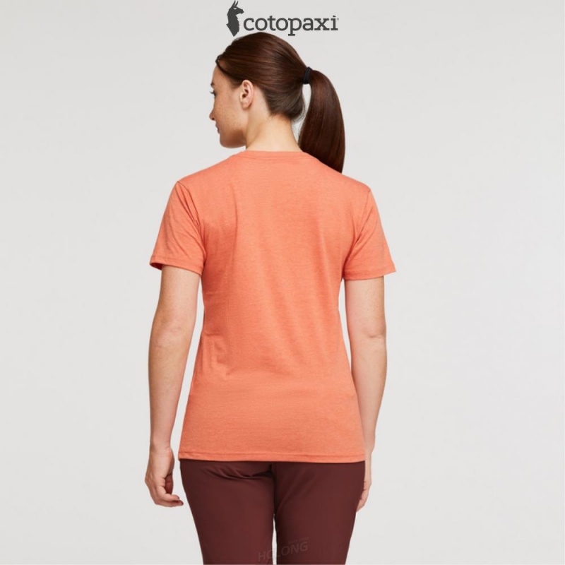 Cotopaxi Do Good Repeat T-Shirt Nectar | PR10-K1-BW