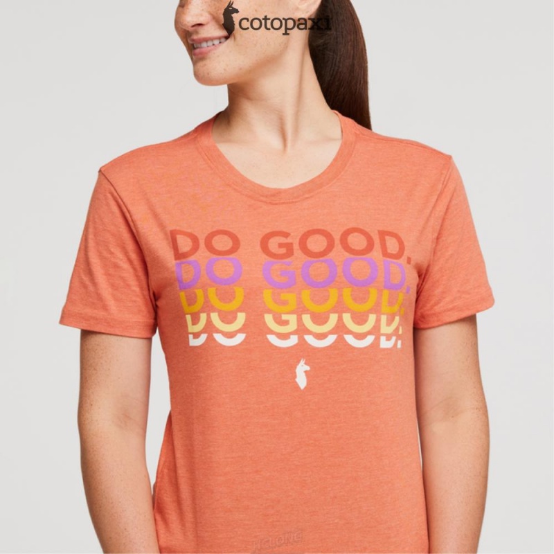 Cotopaxi Do Good Repeat T-Shirt Nectar | PR10-K1-BW