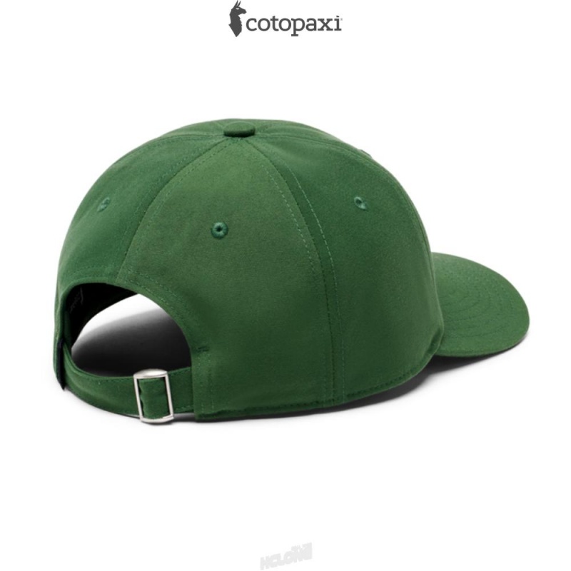 Cotopaxi Do Good Stripe Dad Hat Forest | SD57-Y0-HZ