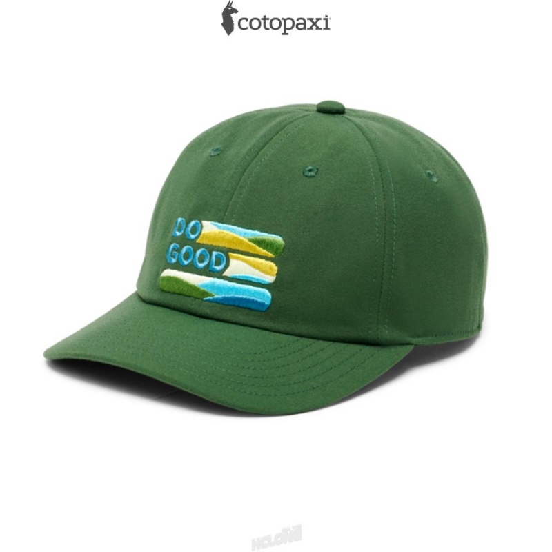 Cotopaxi Do Good Stripe Dad Hat Forest | SD57-Y0-HZ