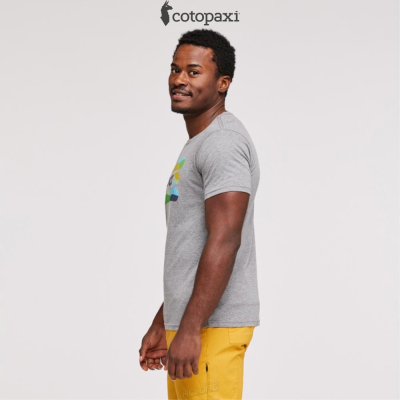 Cotopaxi Do Good Stripe T-Shirt Heather Grey | PT06-K6-TZ