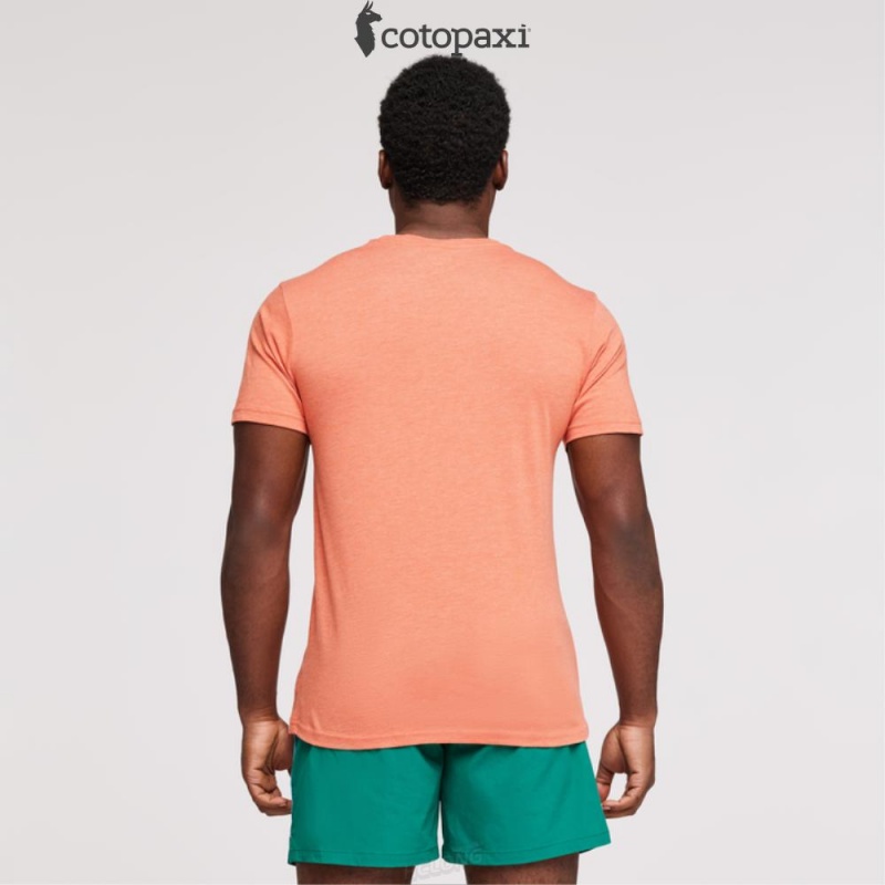 Cotopaxi Do Good Stripe T-Shirt Nectar | VS89-T5-MS