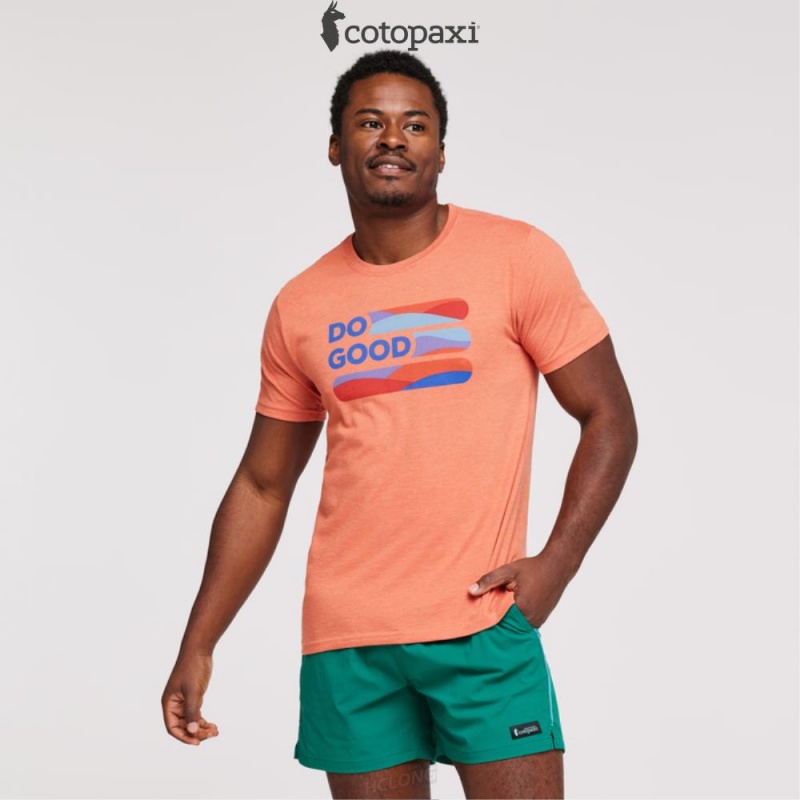 Cotopaxi Do Good Stripe T-Shirt Nectar | VS89-T5-MS