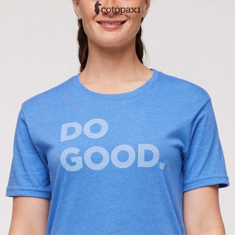 Cotopaxi Do Good T-Shirt Lupine | YG25-Y8-EH