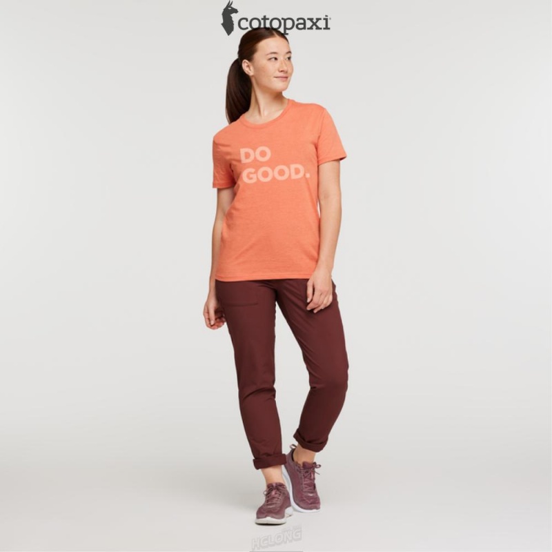 Cotopaxi Do Good T-Shirt Nectar | LO84-E5-ZQ