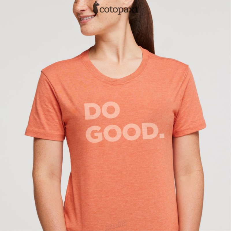 Cotopaxi Do Good T-Shirt Nectar | LO84-E5-ZQ