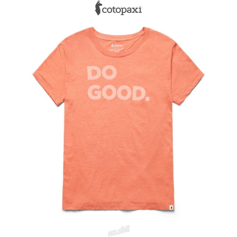 Cotopaxi Do Good T-Shirt Nectar | LO84-E5-ZQ