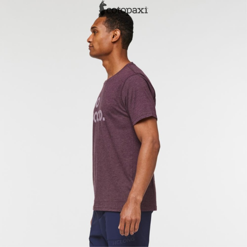 Cotopaxi Do Good T-Shirt Wine | DS41-M1-GF