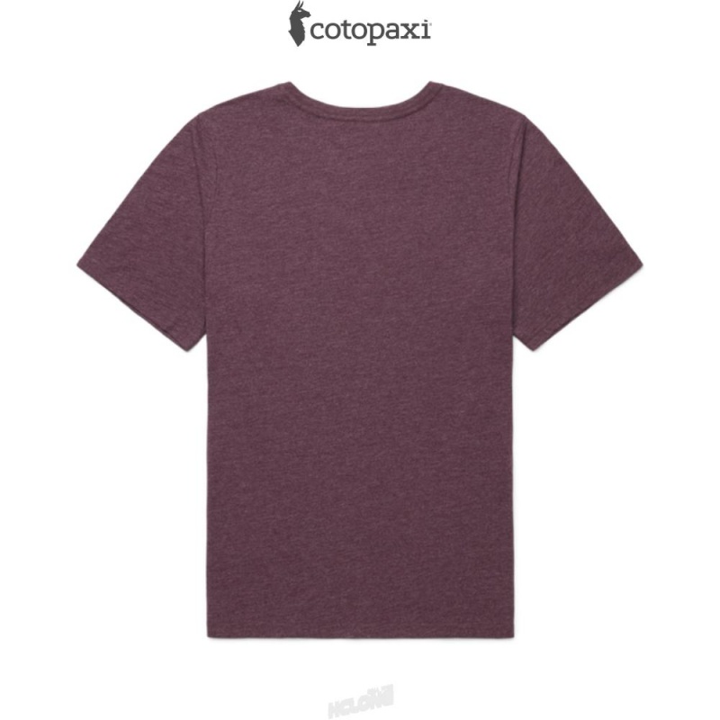 Cotopaxi Do Good T-Shirt Wine | NJ95-Z9-IJ