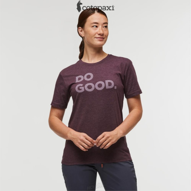 Cotopaxi Do Good T-Shirt Wine | NJ95-Z9-IJ