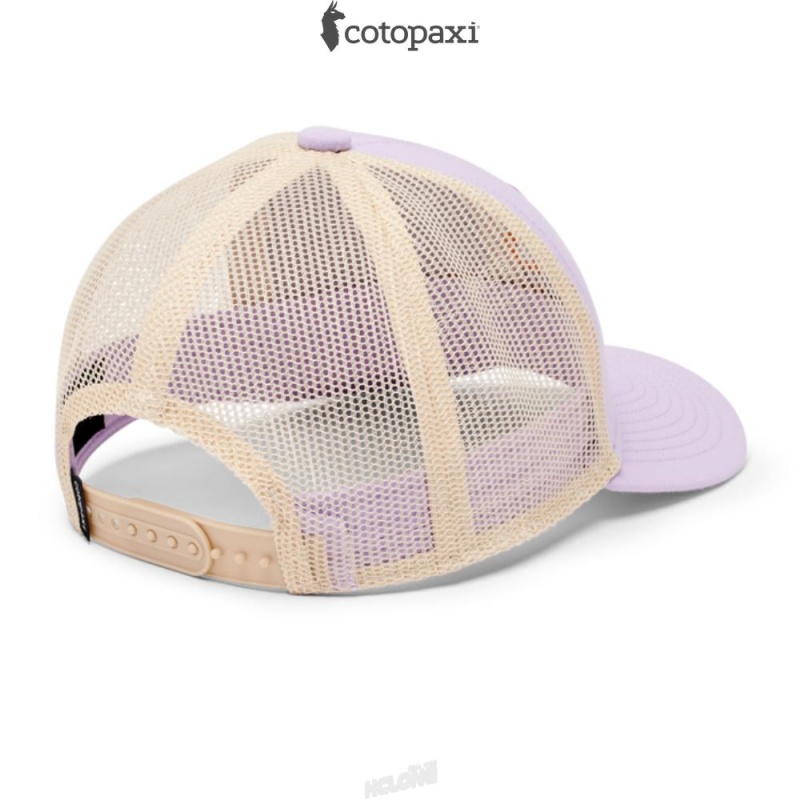 Cotopaxi Do Good Trucker Hat Thistle | IL12-S1-GO