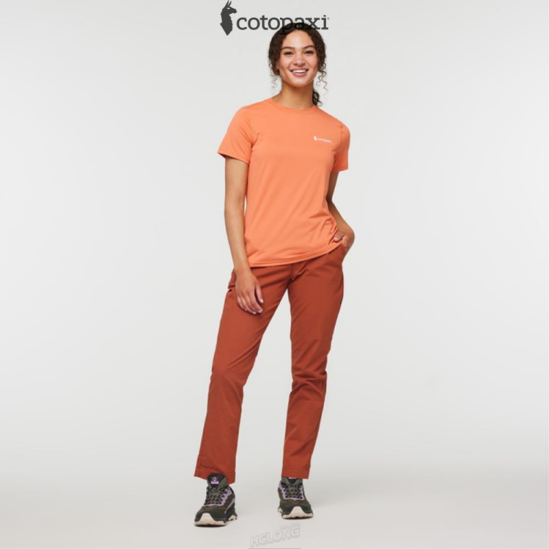 Cotopaxi Fino Tech Tee Nectar | DU02-S3-IY