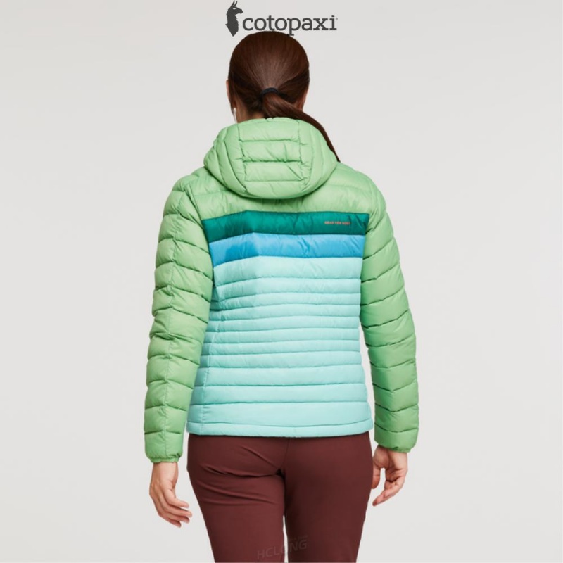 Cotopaxi Fuego Hooded Down Jacket Kelp/Sea Glass | WJ65-C1-CY