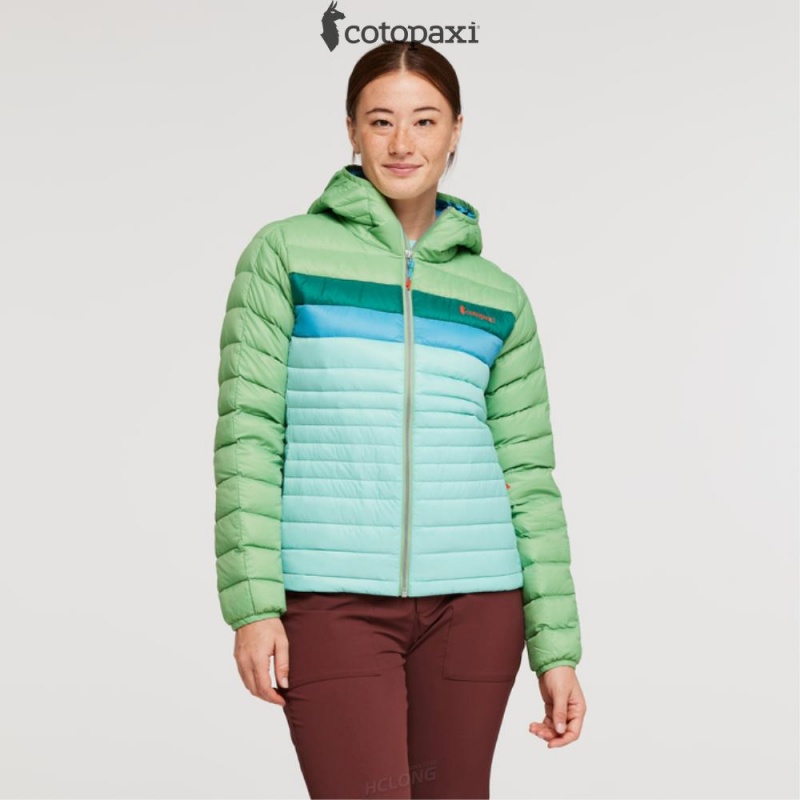 Cotopaxi Fuego Hooded Down Jacket Kelp/Sea Glass | WJ65-C1-CY