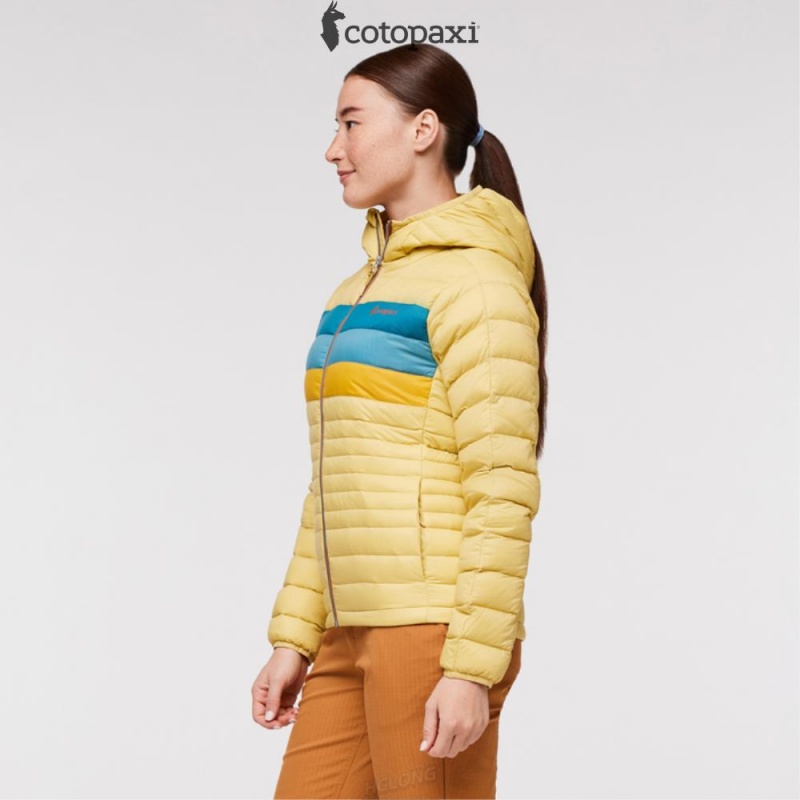 Cotopaxi Fuego Hooded Down Jacket Wheat Stripes | CL74-C1-QC