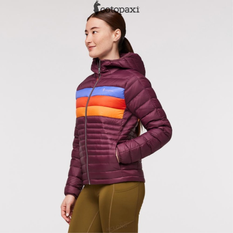 Cotopaxi Fuego Hooded Down Jacket Wine Stripes | OY65-I4-LB