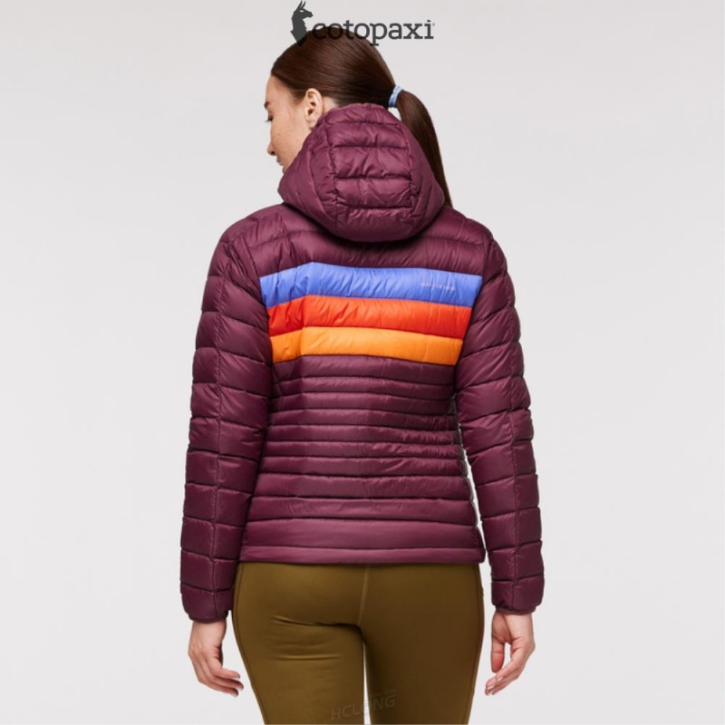 Cotopaxi Fuego Hooded Down Jacket Wine Stripes | OY65-I4-LB