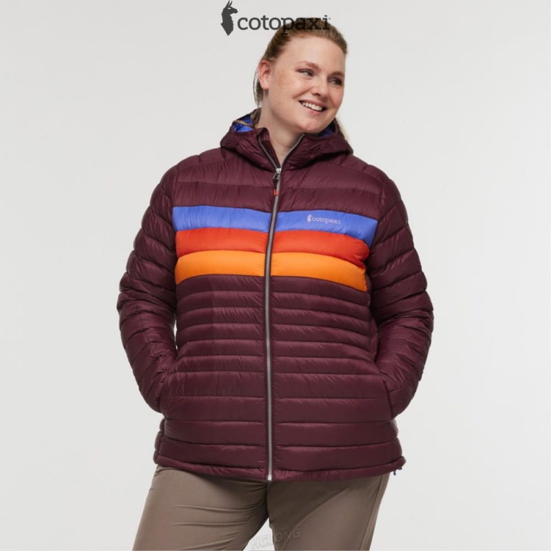 Cotopaxi Fuego Hooded Down Jacket Wine Stripes | OY65-I4-LB