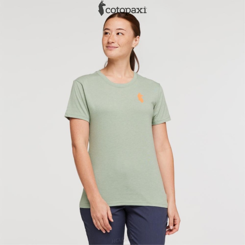 Cotopaxi Happy Day T-Shirt Silver Leaf | FE10-Z2-JH