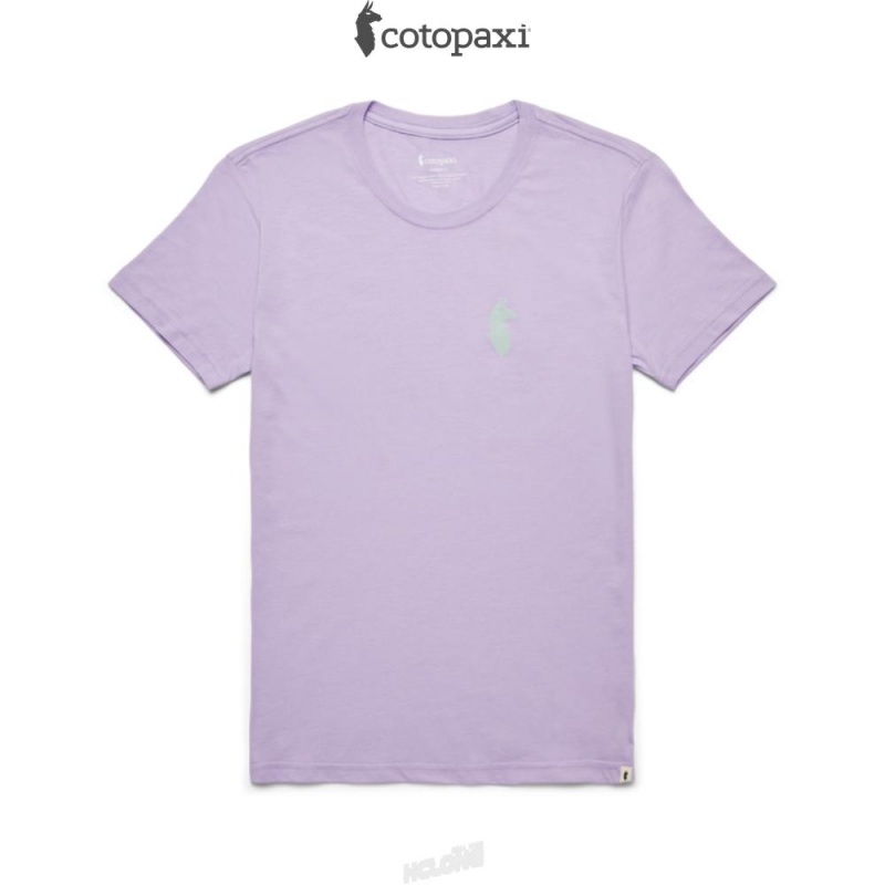 Cotopaxi Happy Day T-Shirt Thistle | DR73-T3-PE