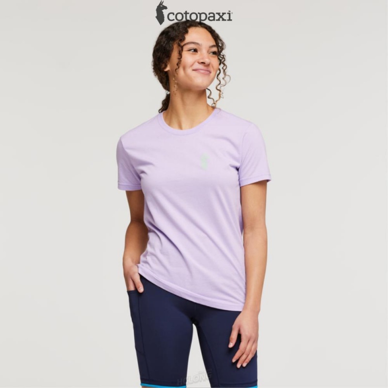 Cotopaxi Happy Day T-Shirt Thistle | DR73-T3-PE