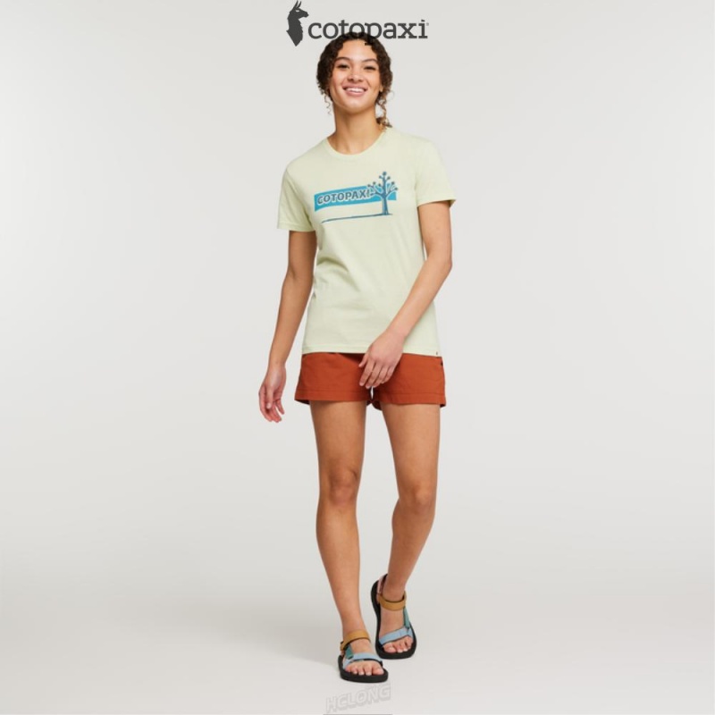 Cotopaxi Hello Desert T-Shirt Lichen | RK07-C5-FZ