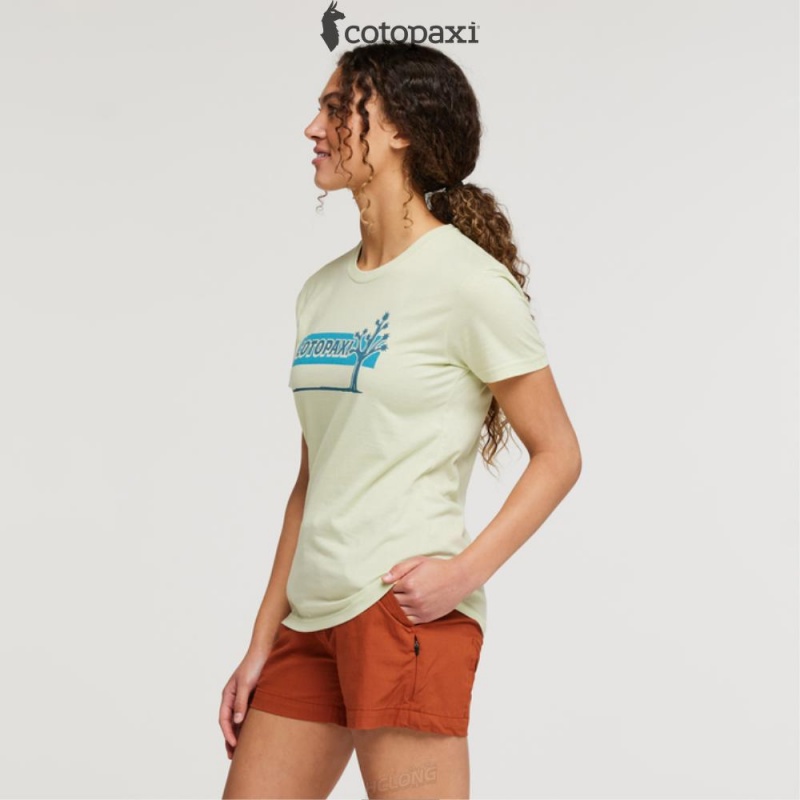 Cotopaxi Hello Desert T-Shirt Lichen | RK07-C5-FZ