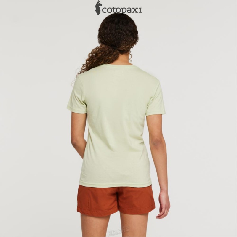 Cotopaxi Hello Desert T-Shirt Lichen | RK07-C5-FZ