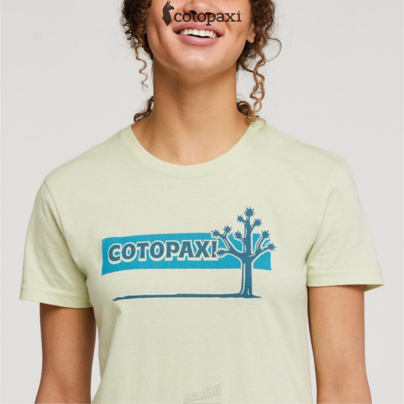 Cotopaxi Hello Desert T-Shirt Lichen | RK07-C5-FZ