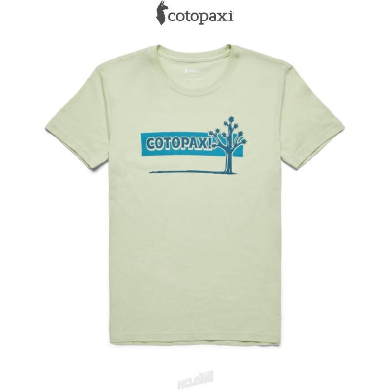 Cotopaxi Hello Desert T-Shirt Lichen | RK07-C5-FZ