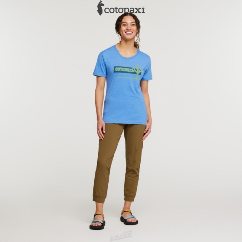 Cotopaxi Hello Desert T-Shirt Lupine | WV03-Z7-RC