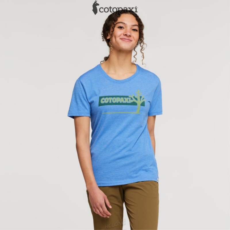 Cotopaxi Hello Desert T-Shirt Lupine | WV03-Z7-RC