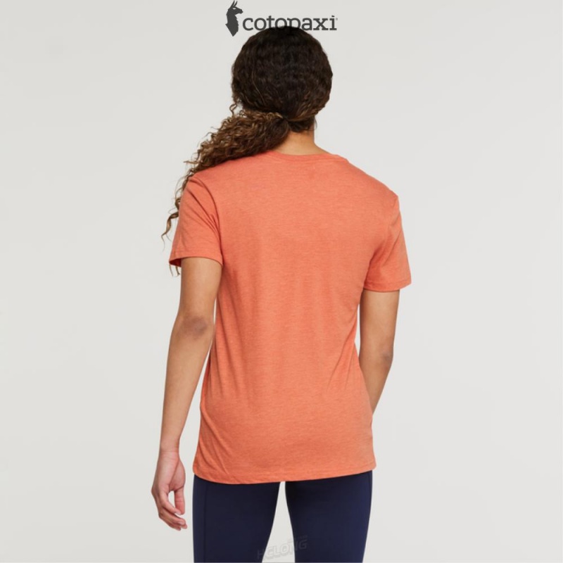 Cotopaxi Hello Desert T-Shirt Nectar | XD94-O5-EG